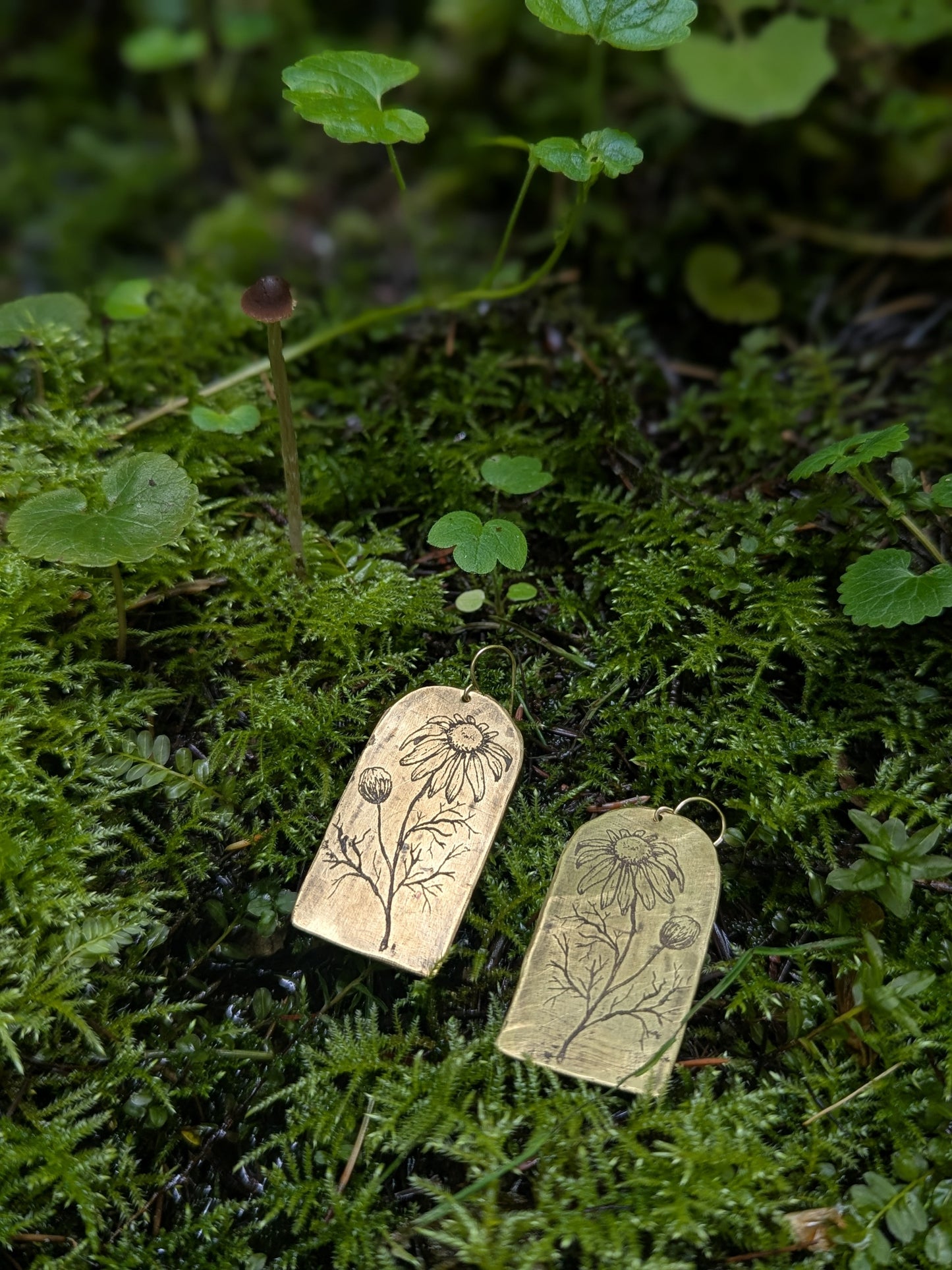 Botanical Study Earrings: Daisy